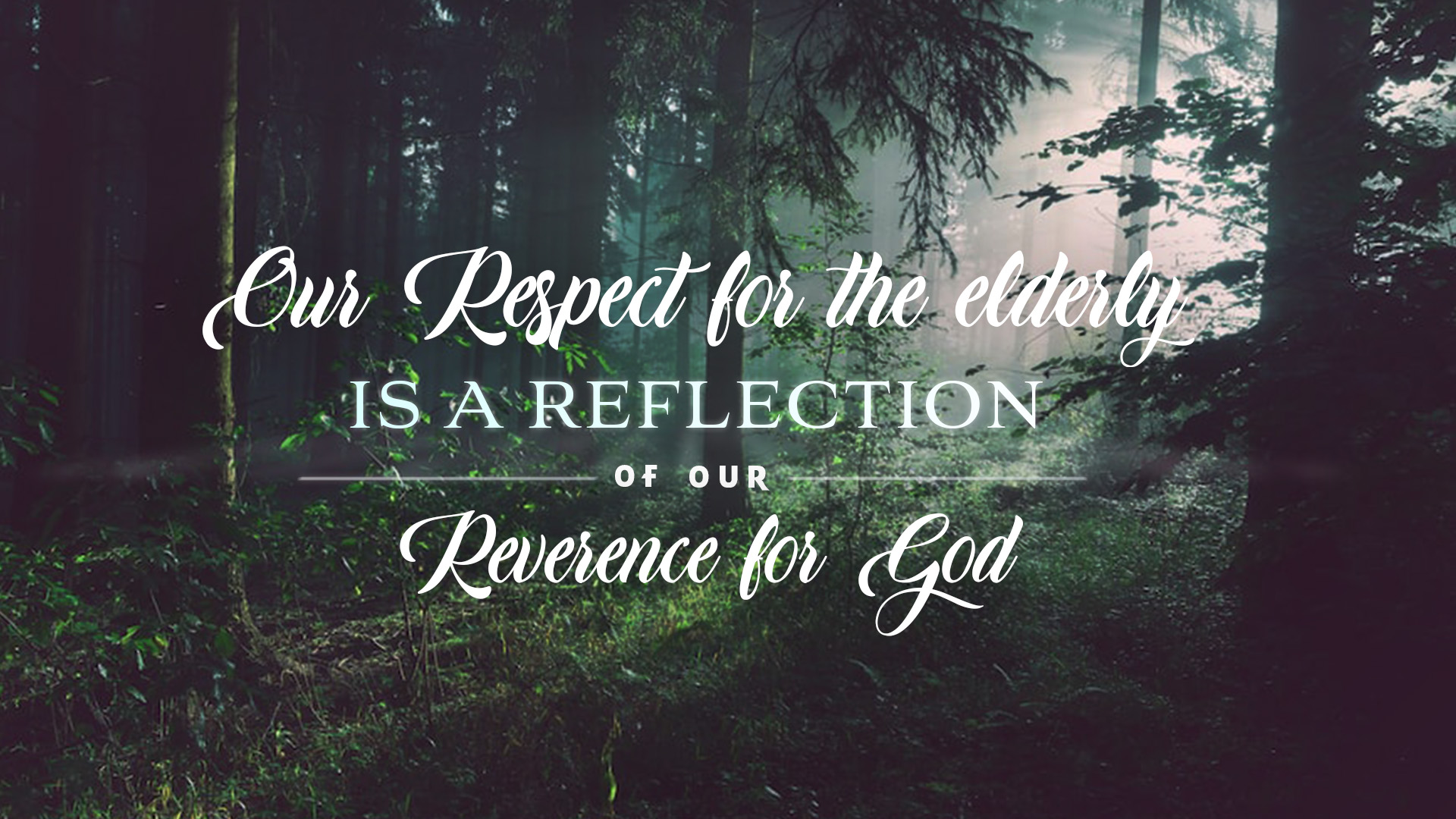 Elderly Respect
